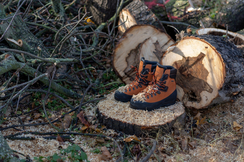 Logger Trek